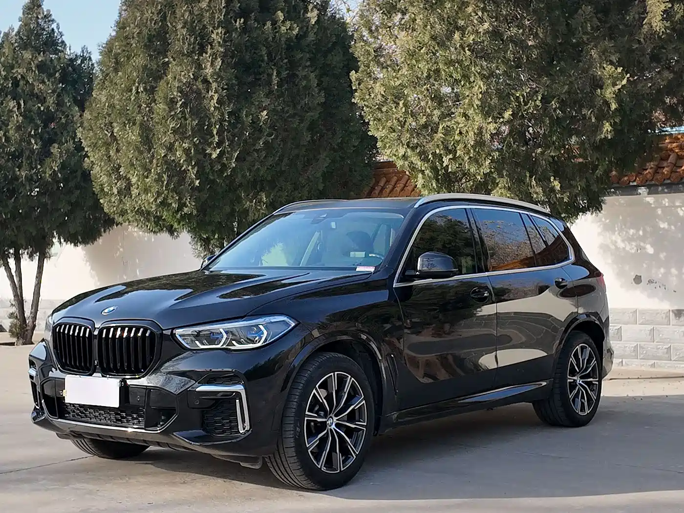 BMW BMW X5 2022