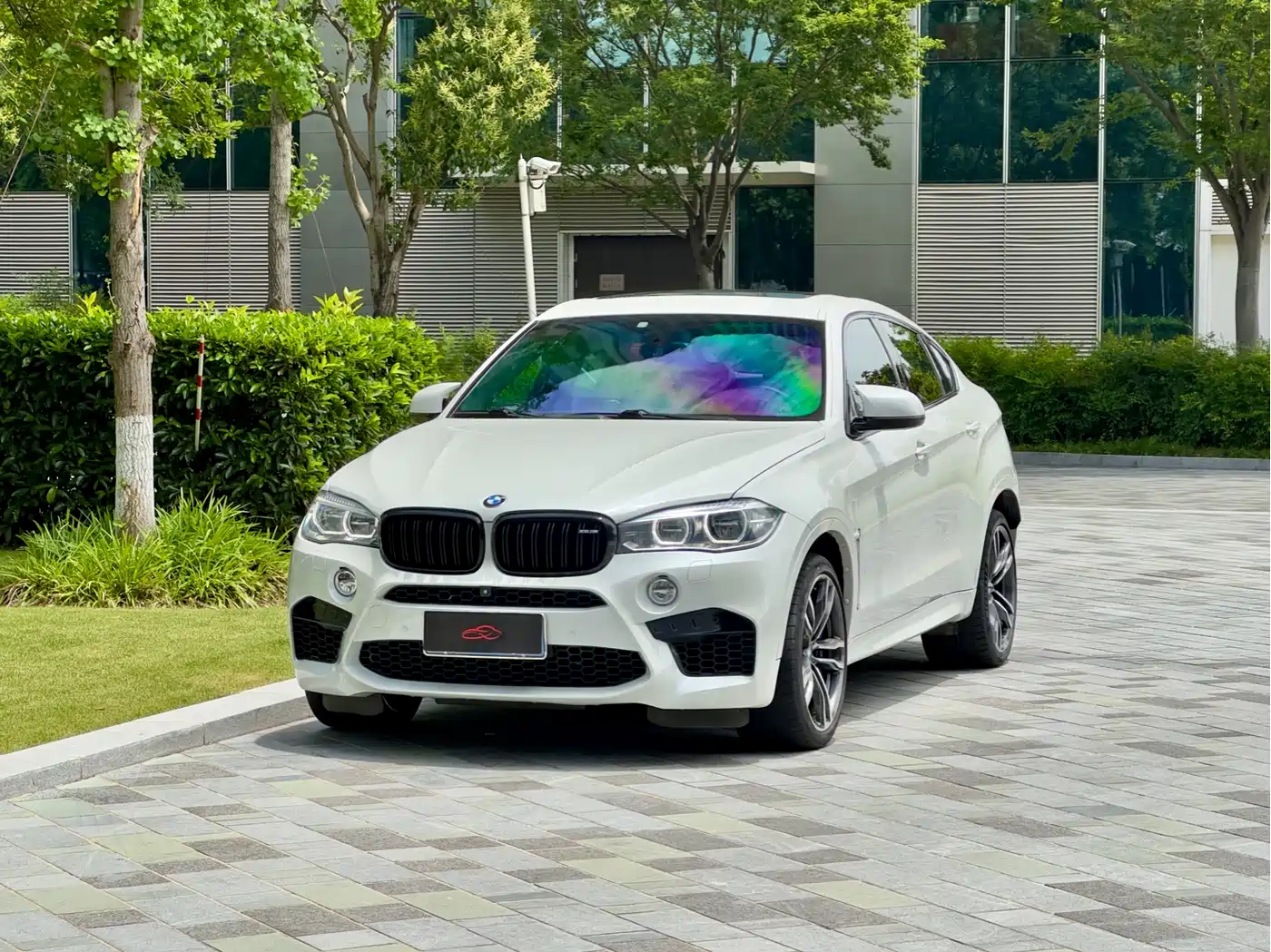 BMW BMW X6 M 2015