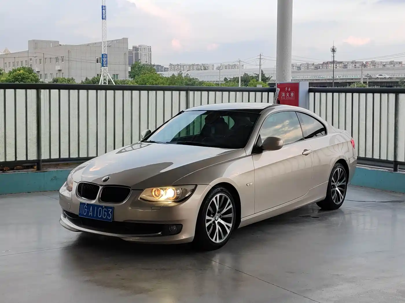 BMW BMW 3 Series (Import) 2010