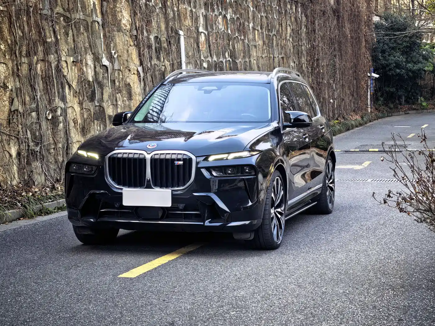 BMW BMW X7 M60i 2022