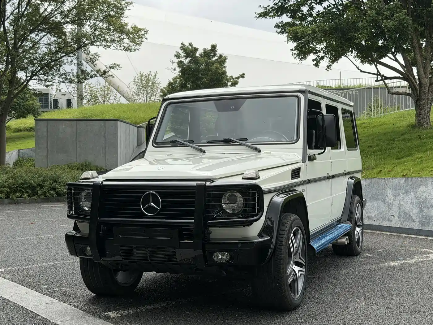 Mercedes-Benz Mercedes-Benz G-Class 2009