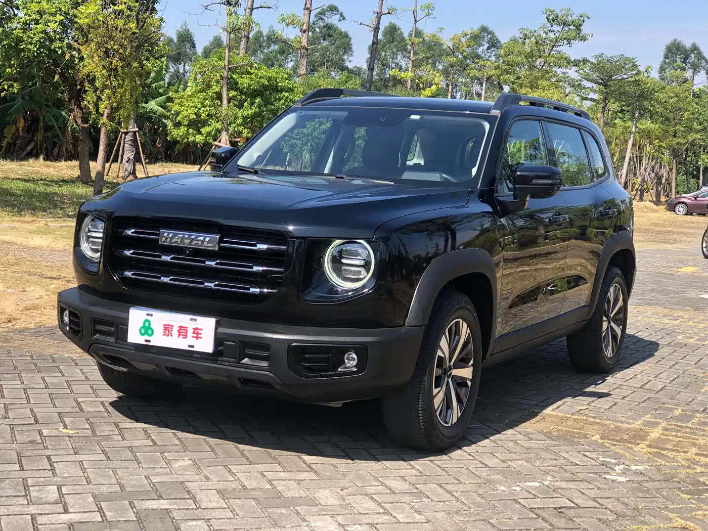 Haval Haval Big Dog