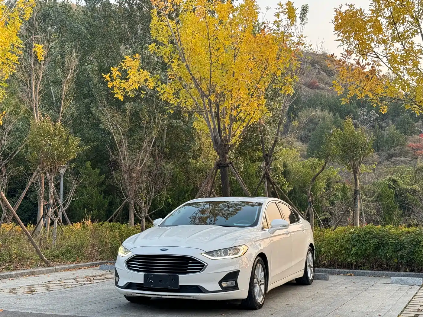 Ford Mondeo 2019