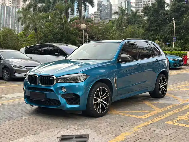 BMW BMW X5 M 2015