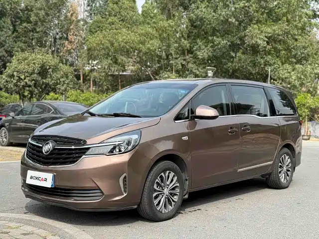 Buick Buick GL8 2020