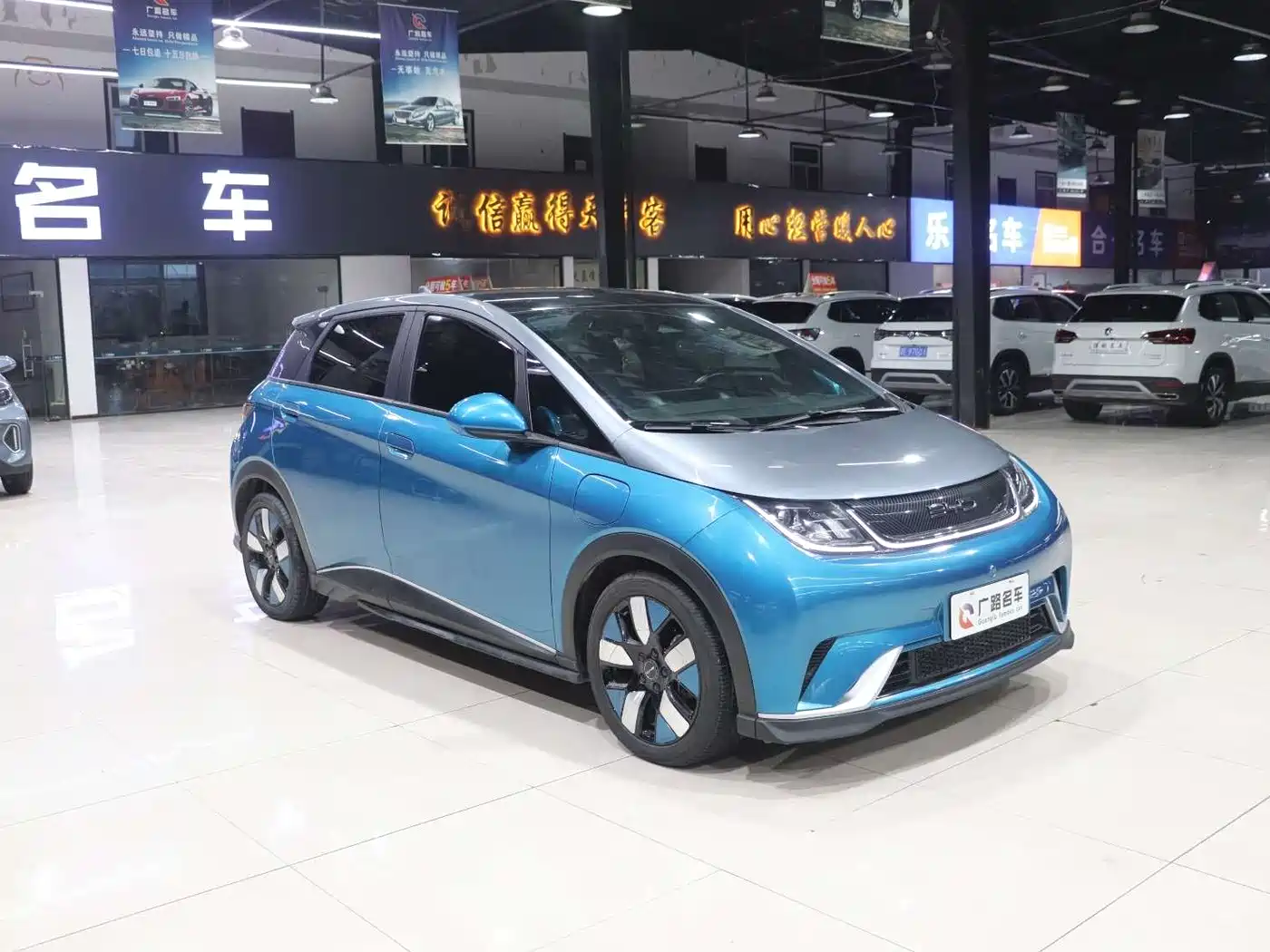 BYD Dolphin