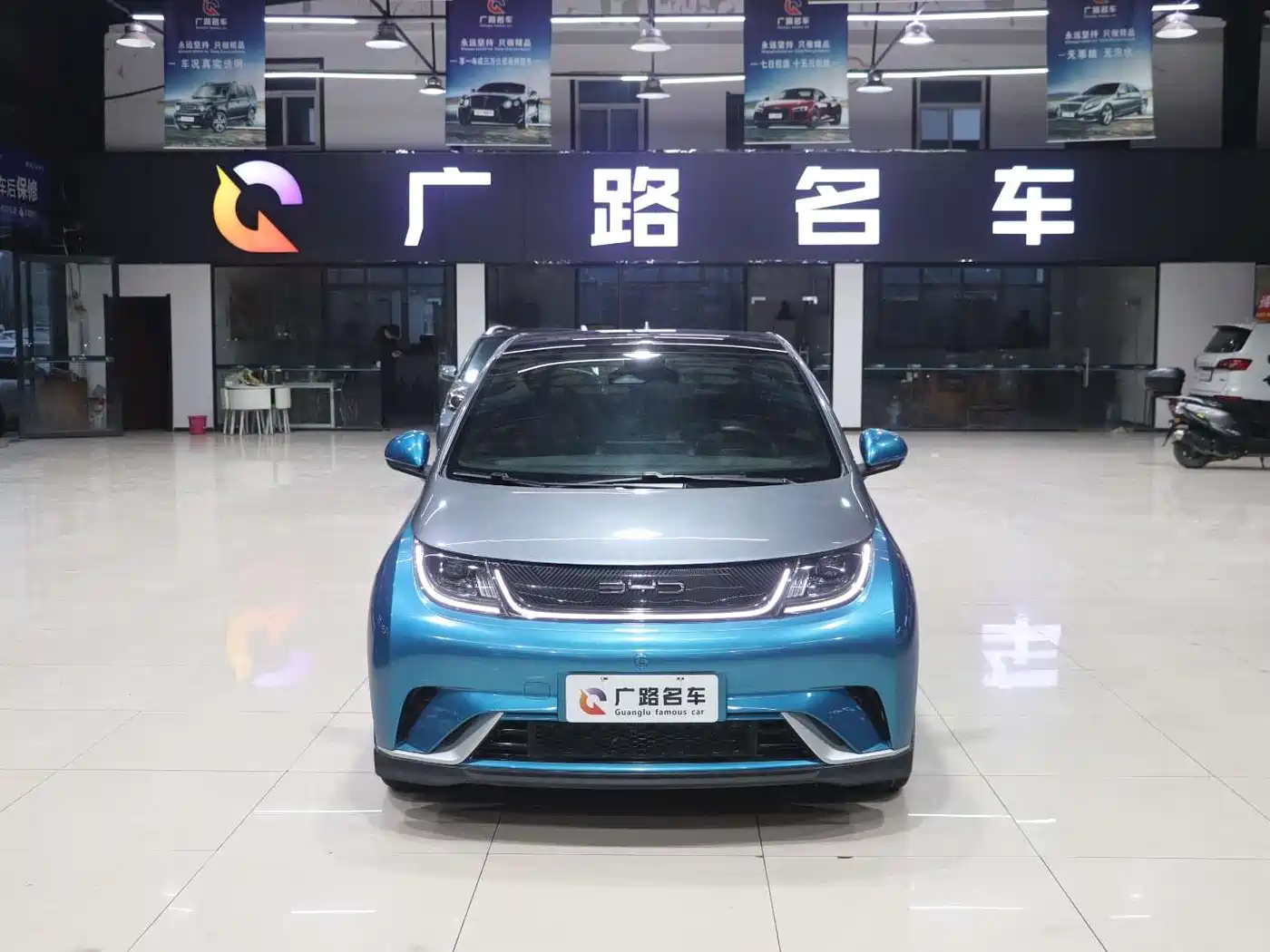 BYD Dolphin