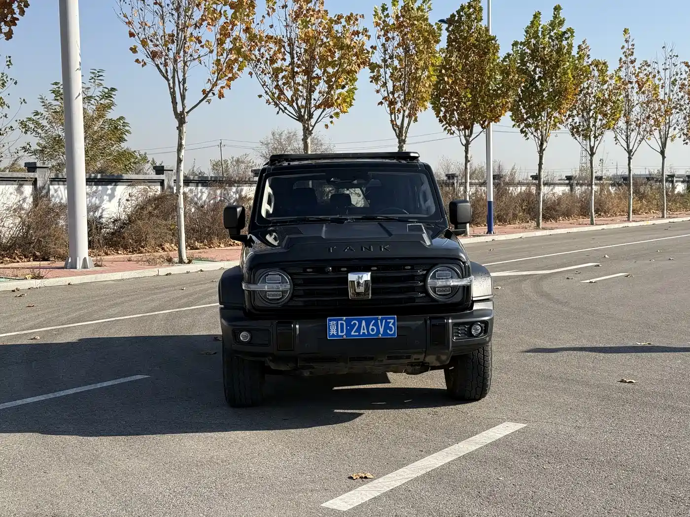 Tank Tank 300 2020