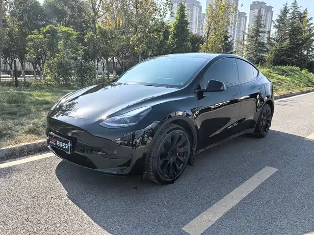 Tesla Model Y 2021