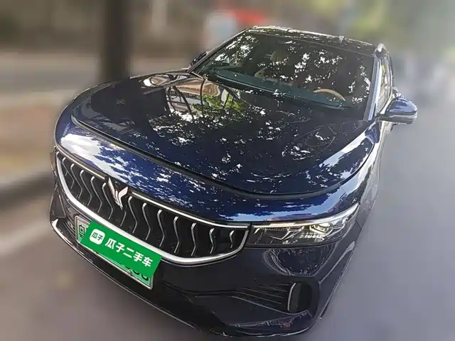Voyah Auto VOYAH FREE 2022