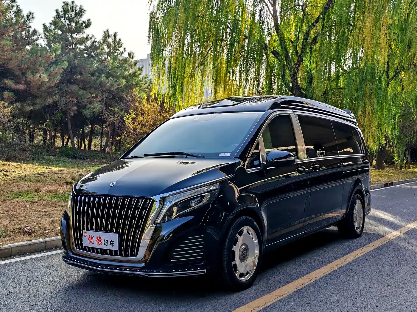 Mercedes-Benz Mercedes-Benz V-Class