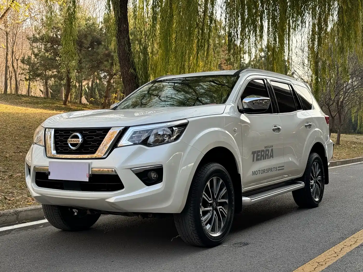 Nissan Terra 2019