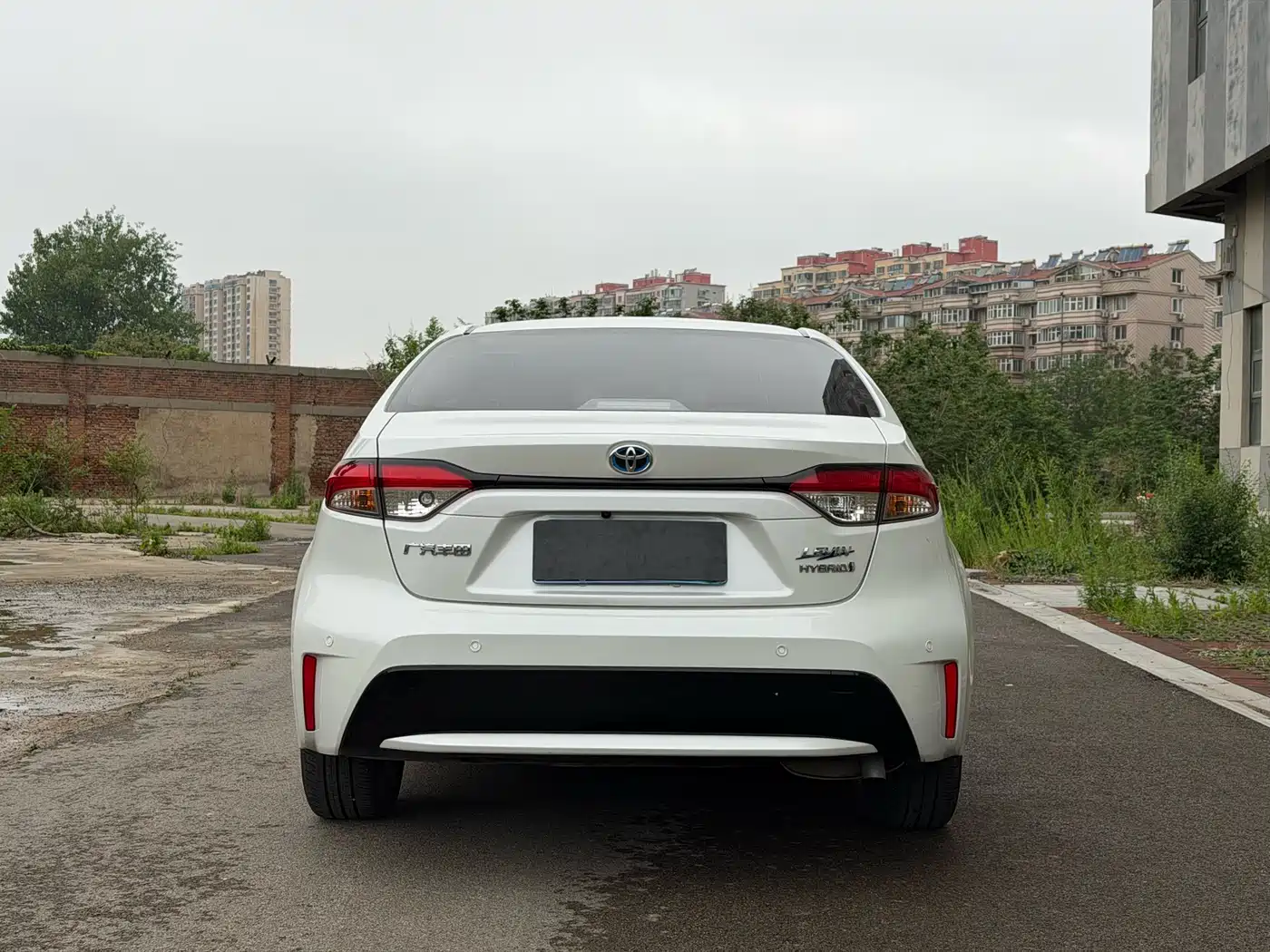 Toyota Levin