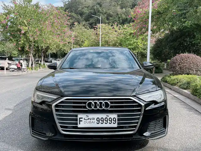 Audi Audi A6L 2019