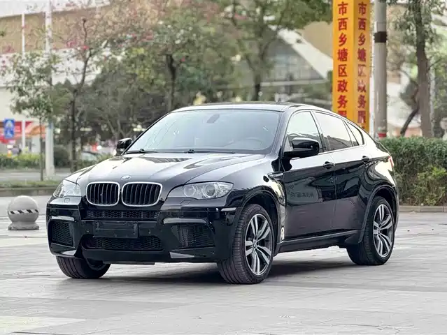 BMW BMW X6 M 2009