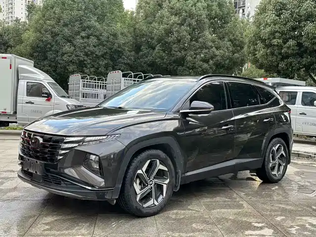 Hyundai Hyundai Tucson 2021