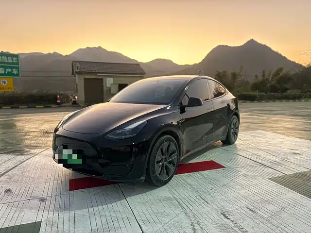 Tesla Model Y 2024