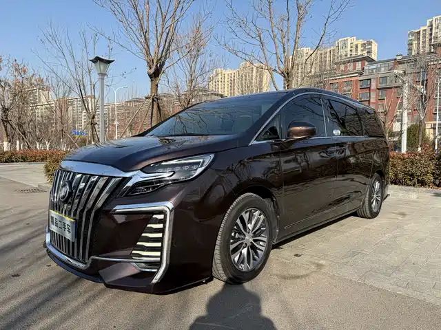 Buick Buick GL8 2020