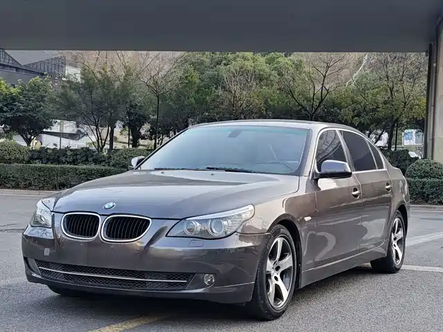BMW BMW 5 Series 2009
