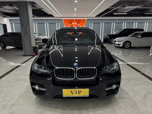 BMW BMW X6 2009