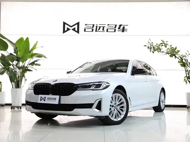 BMW BMW 5 Series 2021