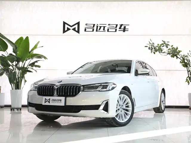 BMW BMW 5 Series 2020