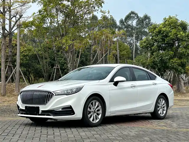 Hongqi Hongqi H5 2020