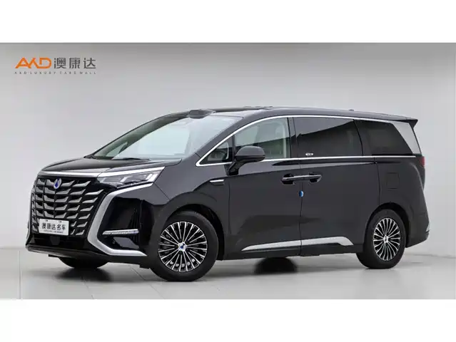 Denza Denza D9