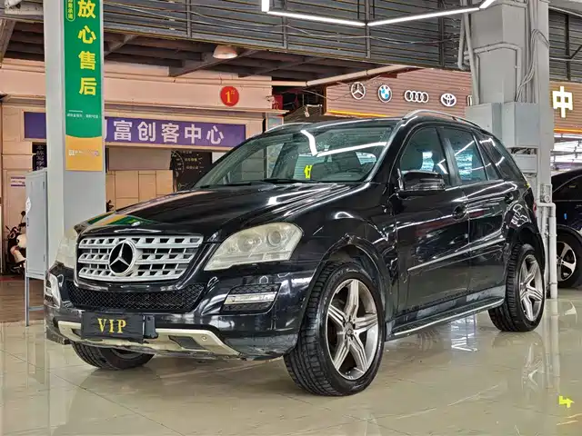 Mercedes-Benz Mercedes-Benz M-Class 2010