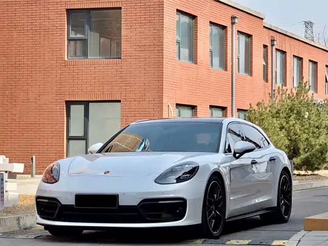 Porsche Panamera New Energy 2020