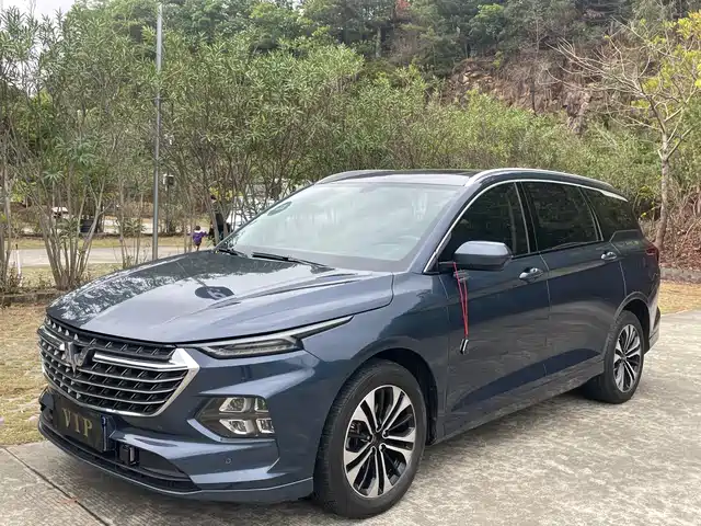 Wuling Motors Wuling Victory