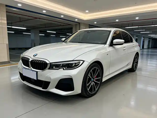 BMW BMW 3 Series 2019