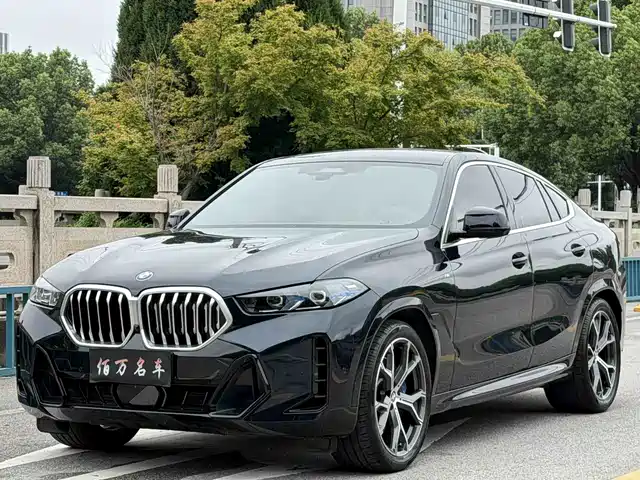 BMW BMW X6 2025