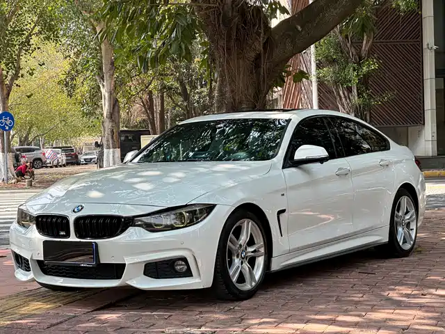 BMW BMW 4 Series 2017