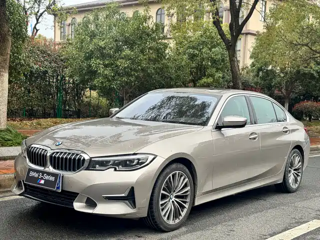 BMW BMW 3 Series 2019
