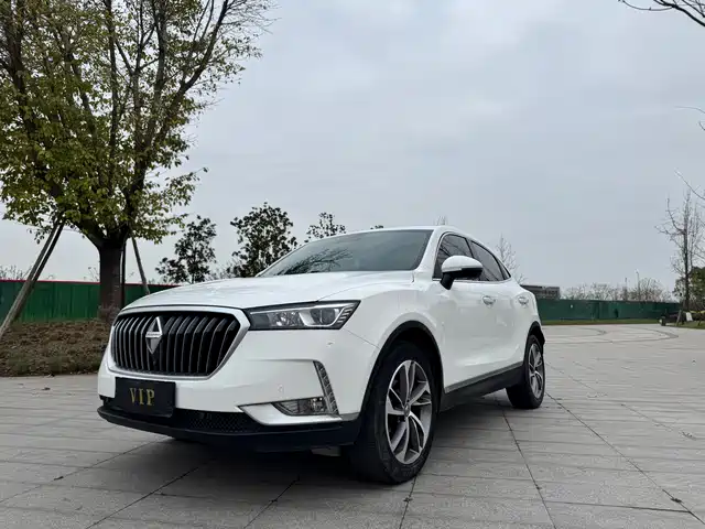Borgward Borgward BX6