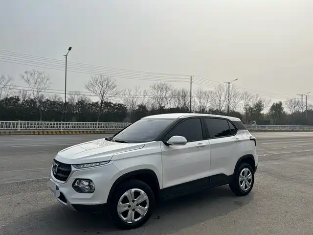 Baojun Baojun 510 2021