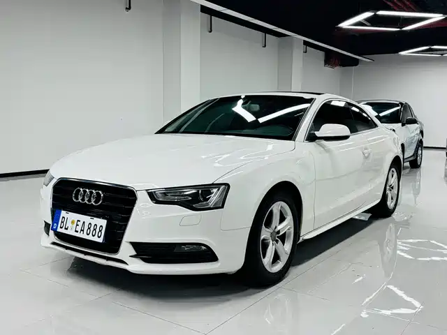 Audi Audi A5 (Import) 2013