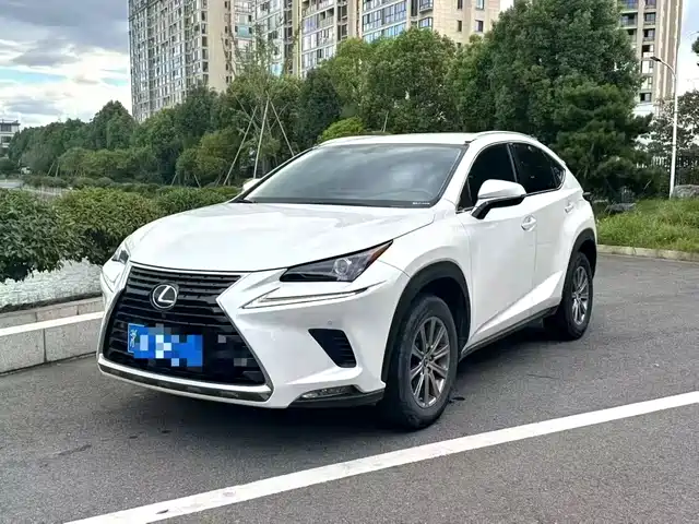 Lexus Lexus NX 2019