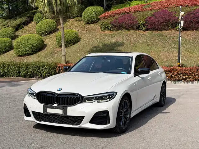 BMW BMW 3 Series 2019