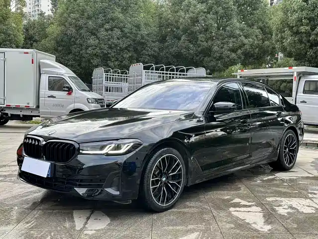 BMW BMW 5 Series 2020
