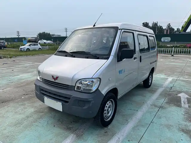Wuling Motors Wuling Zhiguang 2021