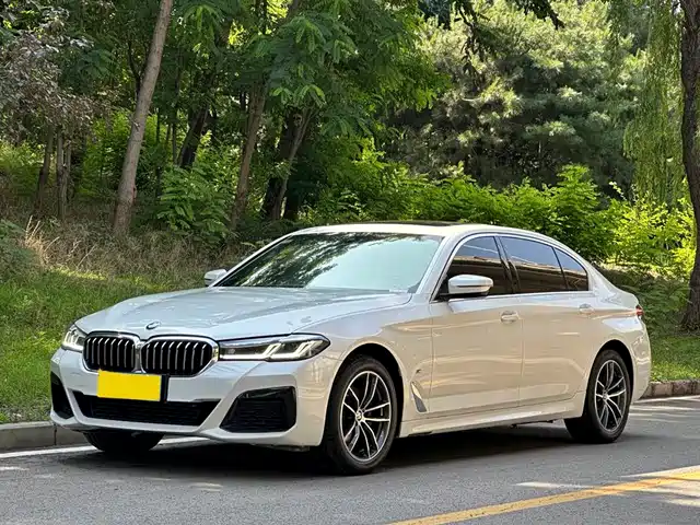 BMW BMW 5 Series 2022