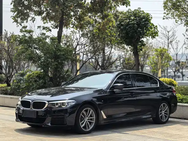 BMW BMW 5 Series 2020