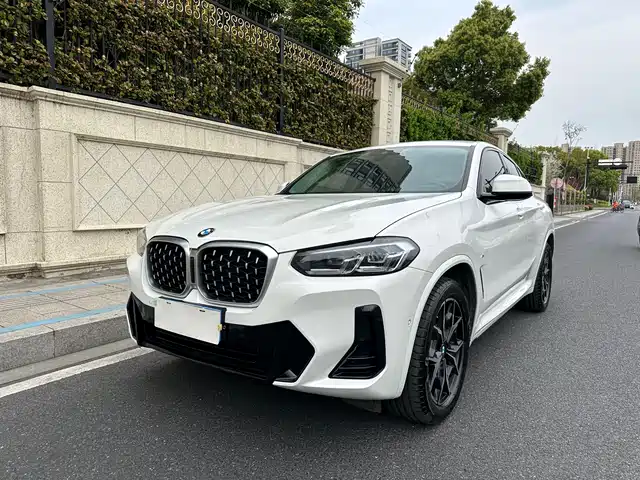 BMW BMW X4 2022