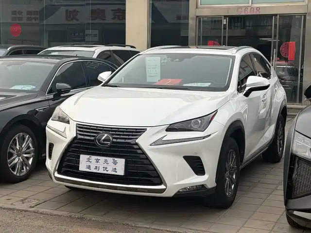 Lexus Lexus NX 2020
