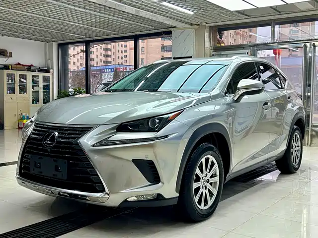 Lexus Lexus NX 2021