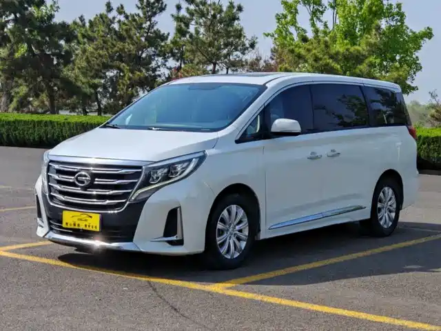 GAC Trumpchi Trumpchi M8 2020