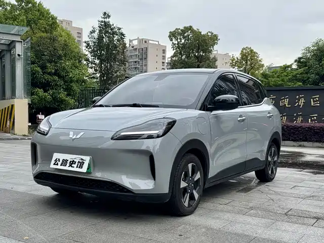 Wuling Motors Wuling Binguo PLUS 2025