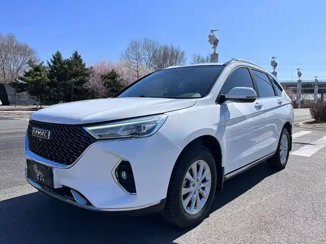 Haval Haval M6 2021